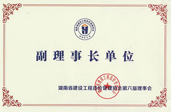 湖南省建設(shè)工程造價管理協(xié)會（副理事長單位）